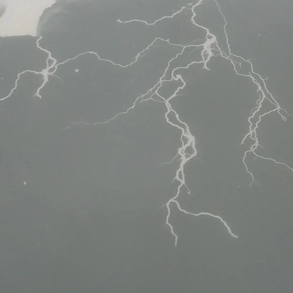 Nike Kevin Durant Graphic T-Shirt (M) - Picture 4 of 5